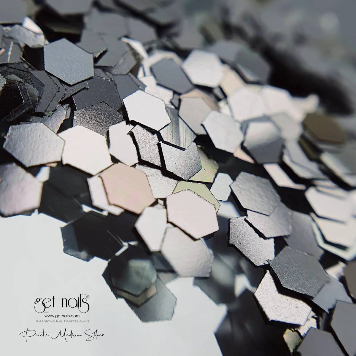 Paillettes Argent Moyen GN