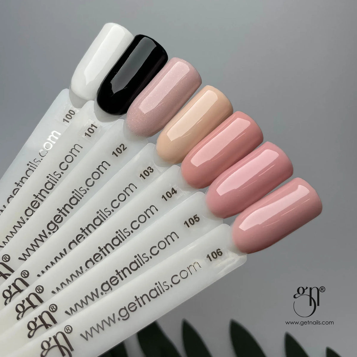 GetLac 106 Coral Cloud