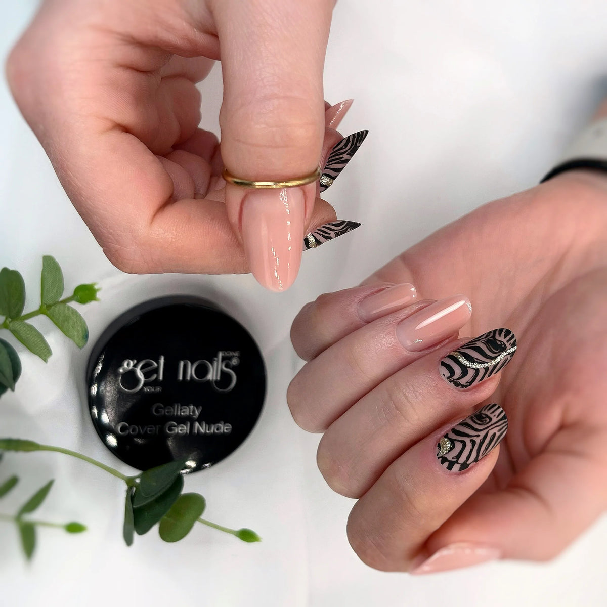 Stamping Plate GN 1 - Animal Prints