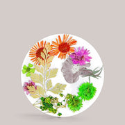 Dry Flowers 5 GN