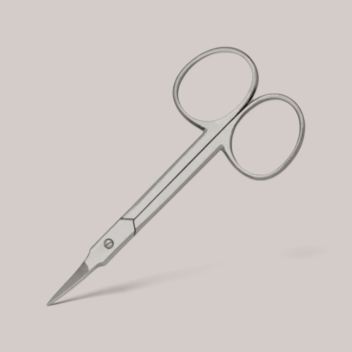 Scissors Inox GN