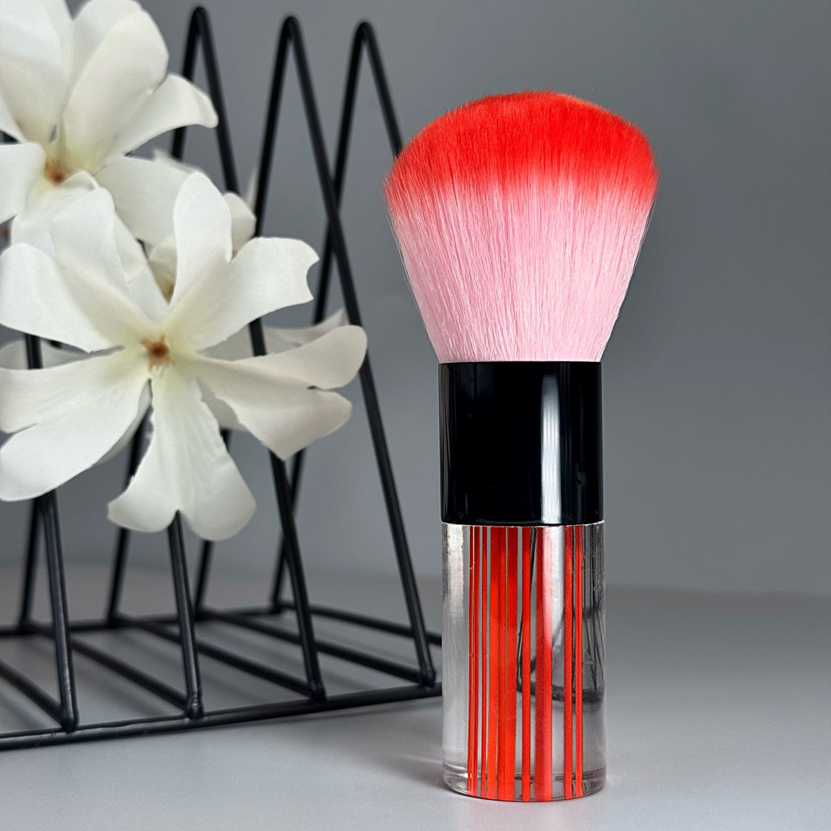 Brosse à poussière transparente rouge GN