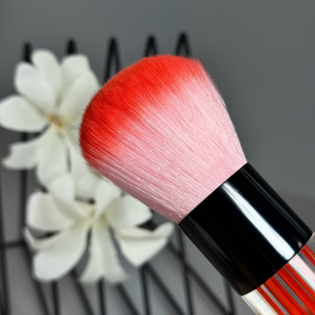Brosse à poussière transparente rouge GN