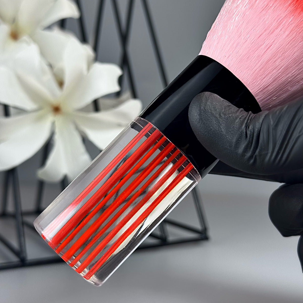 Brosse à poussière transparente rouge GN