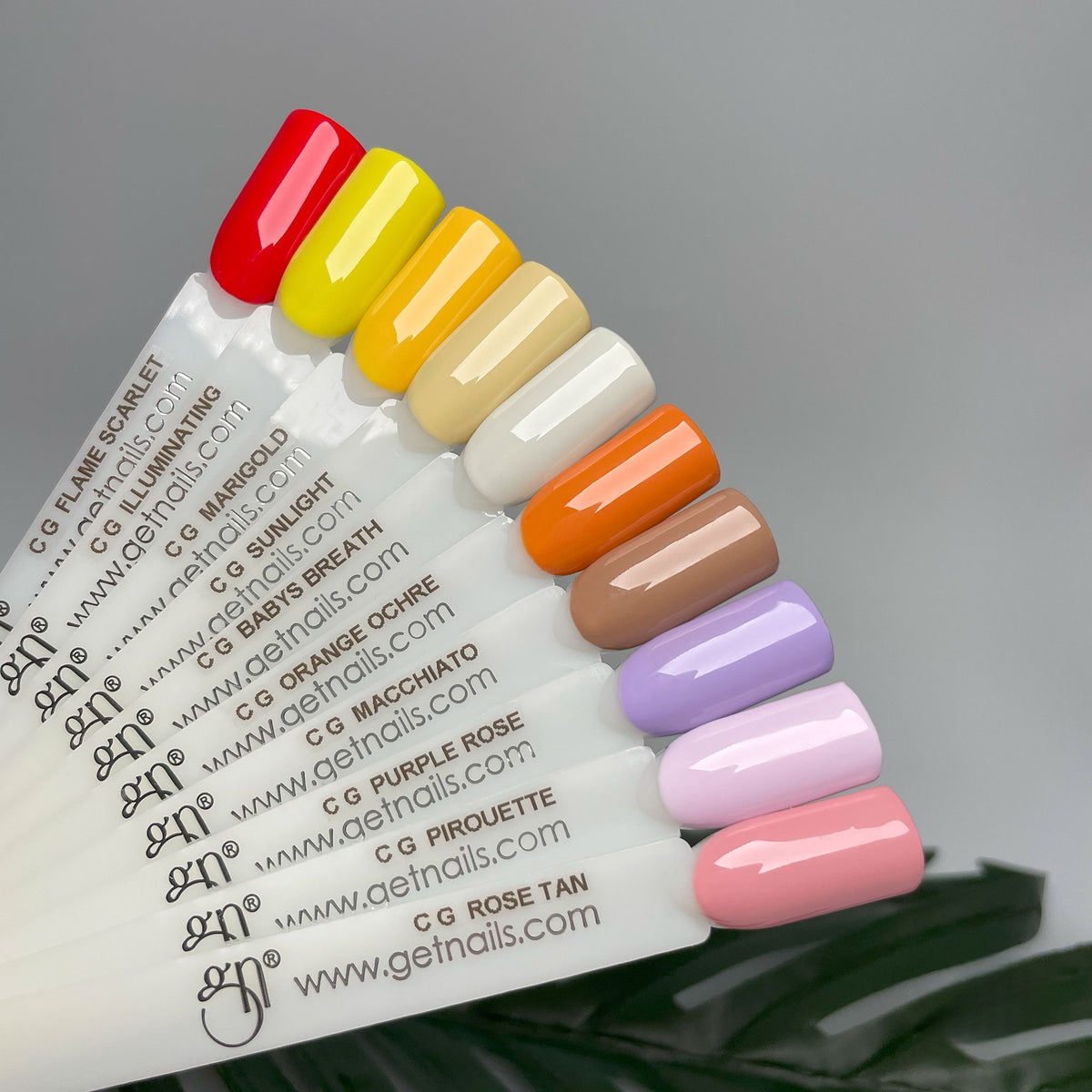 Colour Gel Rose Tan | Gel Colorat UV/LED